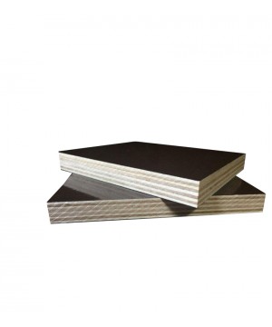 Woodex Plywood