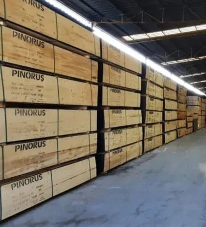 Pinorus Plywood